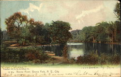 Bronx River, Bronx Park New York Postcard Postcard