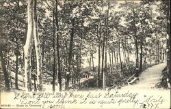 The Glen Postcard