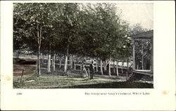 The Grove Near Gray's Casino White Lake, NY Postcard Postcard