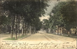 Genesee Street Utica, NY Postcard Postcard