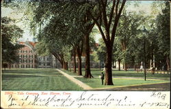 Yale Campus Postcard