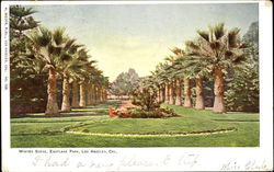 Winter Scene, Eastlake Park Los Angeles, CA Postcard Postcard