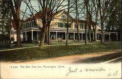 The Elm Tree Inn Postcard