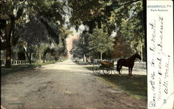 Park Avenue Jacksonville, FL Postcard Postcard