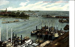 Harbor Scene Postcard