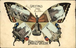 Greetings From Bridgeport Butterfly Connecticut Postcard Postcard