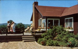 The Wishing Pool And Sun Deck, Freedom Acres Farm Postcard