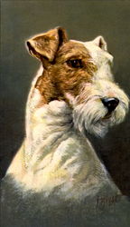 Terrier Dogs Postcard Postcard