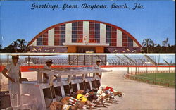 Greetings From Daytona Beach Postcard