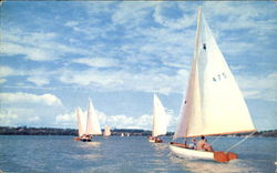 Summer Sailing, Cayuga Lake Ithaca, NY Postcard Postcard