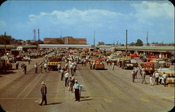 Fruit Market Benton Harbor, MI Postcard Postcard