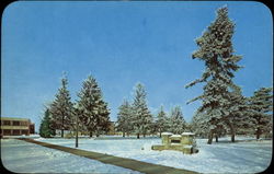 Winter Scene, Andrews University Postcard