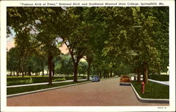 Famous Arch Of Trees, National Blvd. and Southwest Missouri State College Postcard