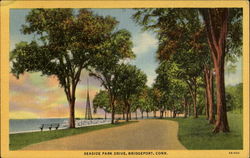 Seaside Park Drive Bridgeport, CT Postcard Postcard