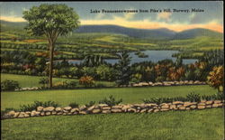 Lake Pennesseewassee From Pike's Hill Postcard