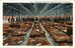 Interior Of A Southern Loose Leaf Tobacco Warehouse Postcard