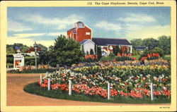 The Cape Playhouse, Dennis Cape Cod, MA Postcard Postcard