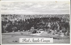 Red Apple Camps, U. S. Highway No. 2 Postcard