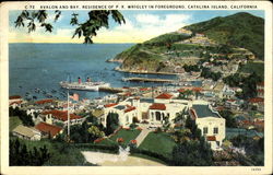 Avalon And Bay Postcard