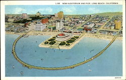 New Auditorium And Pier Postcard