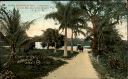 In The Grounds Of Gen Lawrence Miami, FL Postcard Postcard