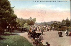 Beautiful Golden Gate Park San Francisco, CA Postcard Postcard