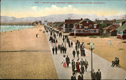 Broad Walk Between Venice And Ocean Park Postcard