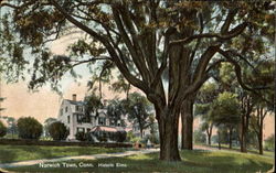 Historic Elms Norwich, CT Postcard Postcard