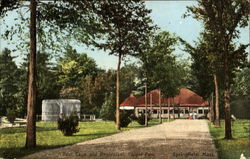 Bear Cage And Restaurant, Forest Park Springfield, MA Postcard Postcard