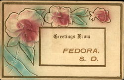 Greetings From Fedora South Dakota Postcard Postcard