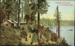 Summer Cottages At Hayden Lake Postcard