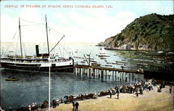 Arrival Of Steamer At Avalon Santa Catalina Island, CA Postcard Postcard