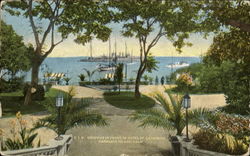 Grounds in Front Of Hotel, Catalina Island Postcard