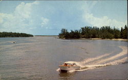 Sarasota Bay Florida Postcard Postcard