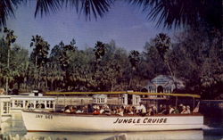 Jungle Cruise Postcard