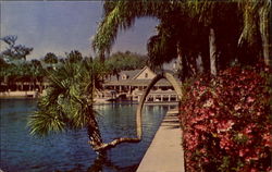 World Famous Silver Springs Florida Postcard Postcard