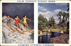 Palm Terrace Dining Room Cypress Gardens, FL Postcard Postcard