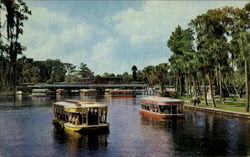 Florida's Silver Springs Postcard