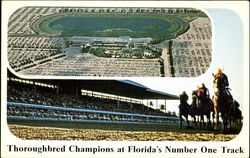 Thoroughbred Champions At Florida's Number One Track Postcard