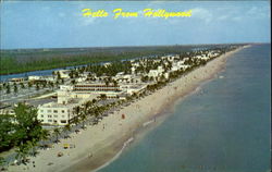 Hello From Hollywood Florida Postcard Postcard