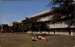 University Of Miami Postcard