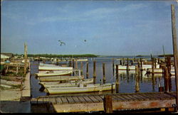 A Few Of The Fishing Boats Postcard