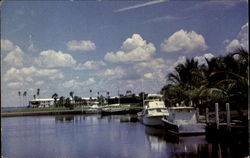 Yacht Club Punta Gorda Isles Florida Postcard Postcard