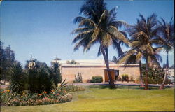 Lowe Art Gallery, University Of Miami Postcard