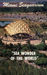 Miami Seaquarium Postcard