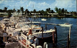 Hillsboro Inlet Postcard