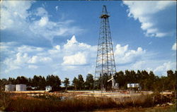 Oil In The Everglades Florida Oil Wells Postcard Postcard