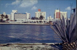 View Of A Segment Of The Famous Miami Beach Hotel Row Postcard