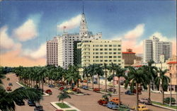 Biscayne Blvd Looking South, N. E. 5th Street Postcard