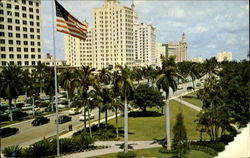 Famed Biscayne Boulevard Postcard